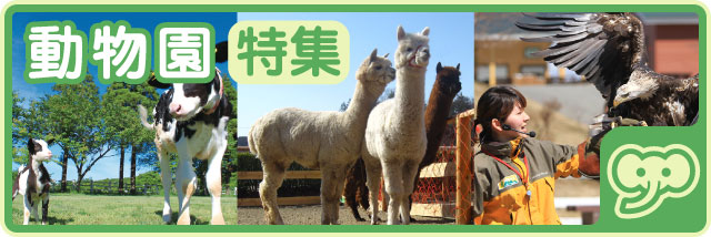 動物園特集