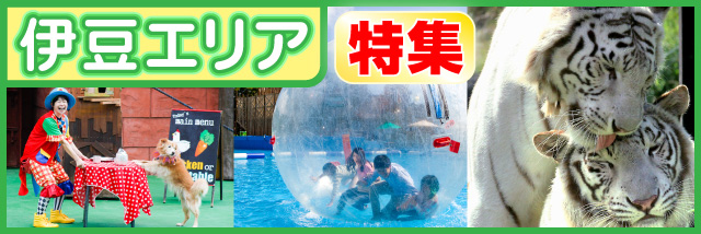 伊豆エリア特集